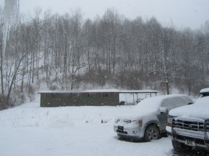 Our future Guest House.........