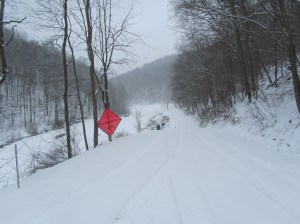 Our road looking up the Holler.......