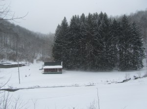 Creekside Cabin Farm from the road.....