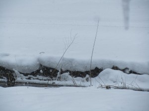 Snow on the side of the creek in front of the Cabin...